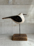 Small seagull on a stand