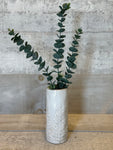 Long stem realistic eucalyptus