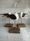 Small seagull on a stand