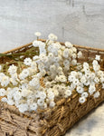 Long stem faux Baby’s breath -