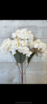 White hydrangea bunch