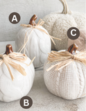 The ceramic pumpkin