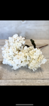 White hydrangea bunch