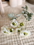 The ranunculus