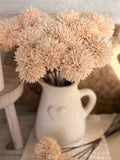 allium cream bunch