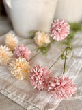 Mini chrysanthemums
