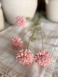 Mini chrysanthemums