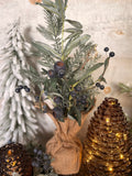 Blueberry burlap tree