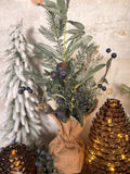 Blueberry burlap tree