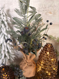 Blueberry burlap tree