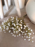 Baby’s breath bunch