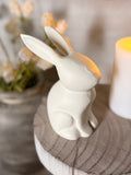 The ceramic bunny