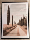 The tall tree road canvas frame