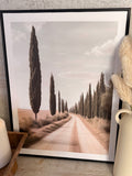 The tall tree road canvas frame