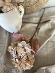 Faux dried hydrangea