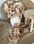 Faux dried hydrangea