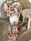 Faux dried hydrangea