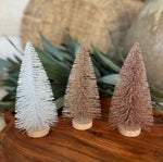 The bottle brush tree
