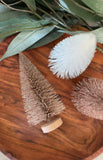 The bottle brush tree