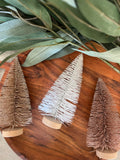 The bottle brush tree