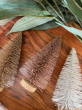 The bottle brush tree