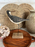 Black Sandpiper on base