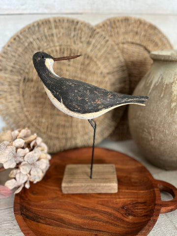 Black Sandpiper on base