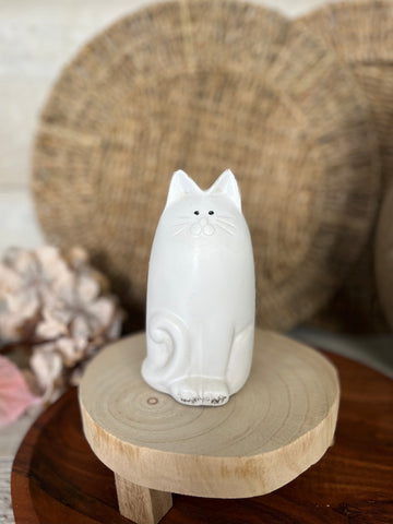 The white cat