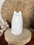 The white cat