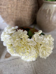 The cream hydrangea bunch