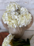 The cream hydrangea bunch