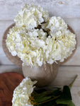 The cream hydrangea bunch