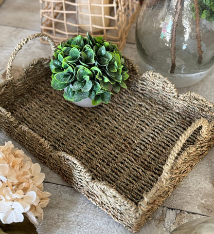 The scalloped seagrass tray