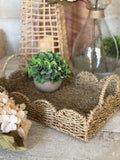 The scalloped seagrass tray