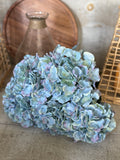 blue hydrangea bunch