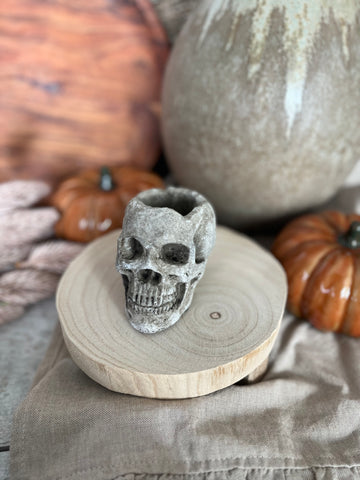 The skull