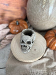 The skull