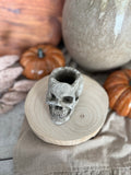 The skull