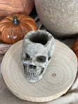 The skull