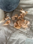 Faux dried sweet peas