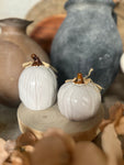 The ceramic pumpkin