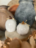 The ceramic pumpkin