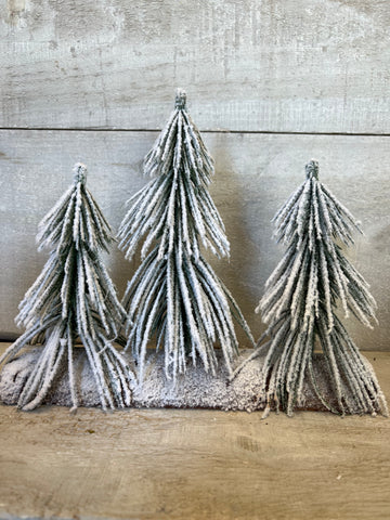 Snowy tree trio