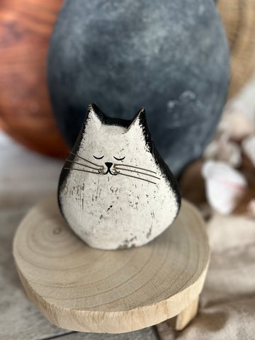 sleeping cat