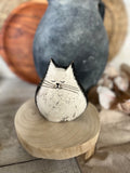 sleeping cat