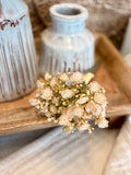 The blush buds