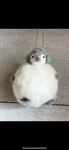 Soft Penguin ornament