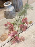 Dandelion Pom Pom spray
