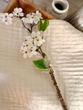 The pear blossom stem