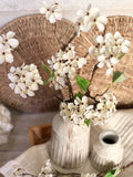The pear blossom stem